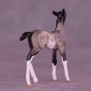 Pixel LE-5 Chip Foal by Anna Rieck February $99 Chips