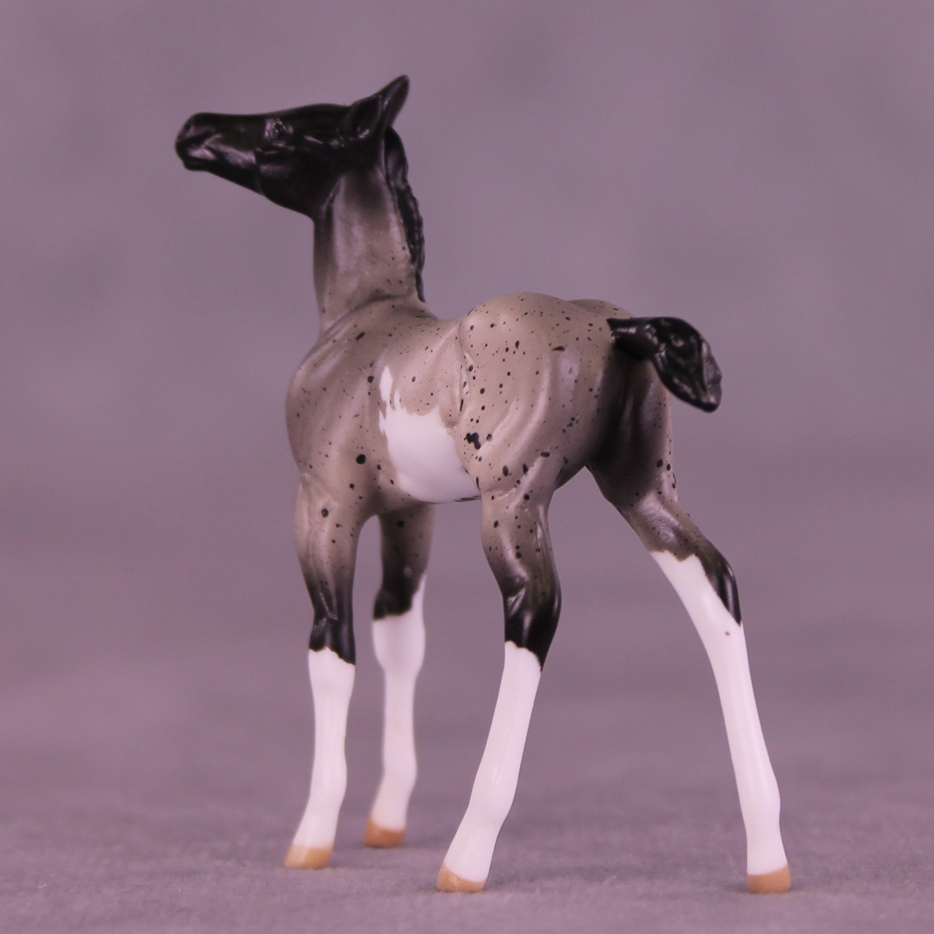 Pixel LE-5 Chip Foal by Anna Rieck February $99 Chips