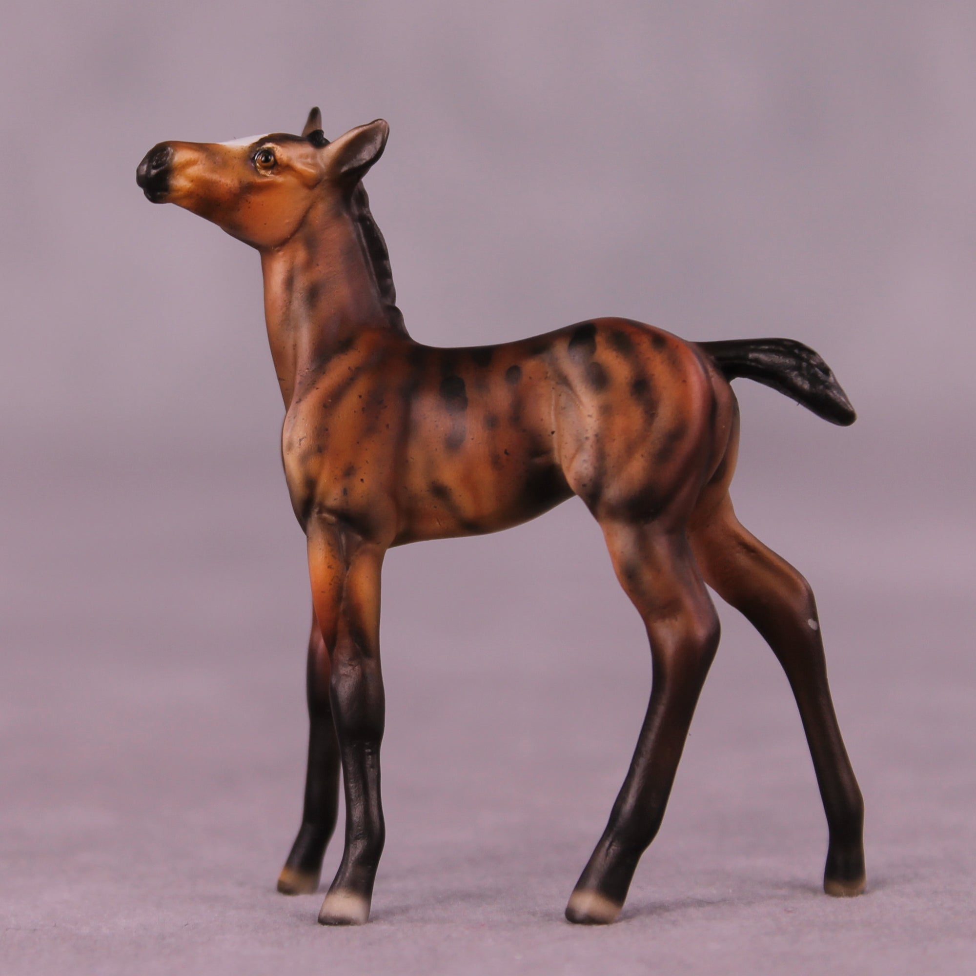 Peanut OOAK Foal Chip by Dawn Quick LHS25