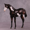 &quot;Sedulous&quot; OOAK Weanling by Julie Keim EQ25