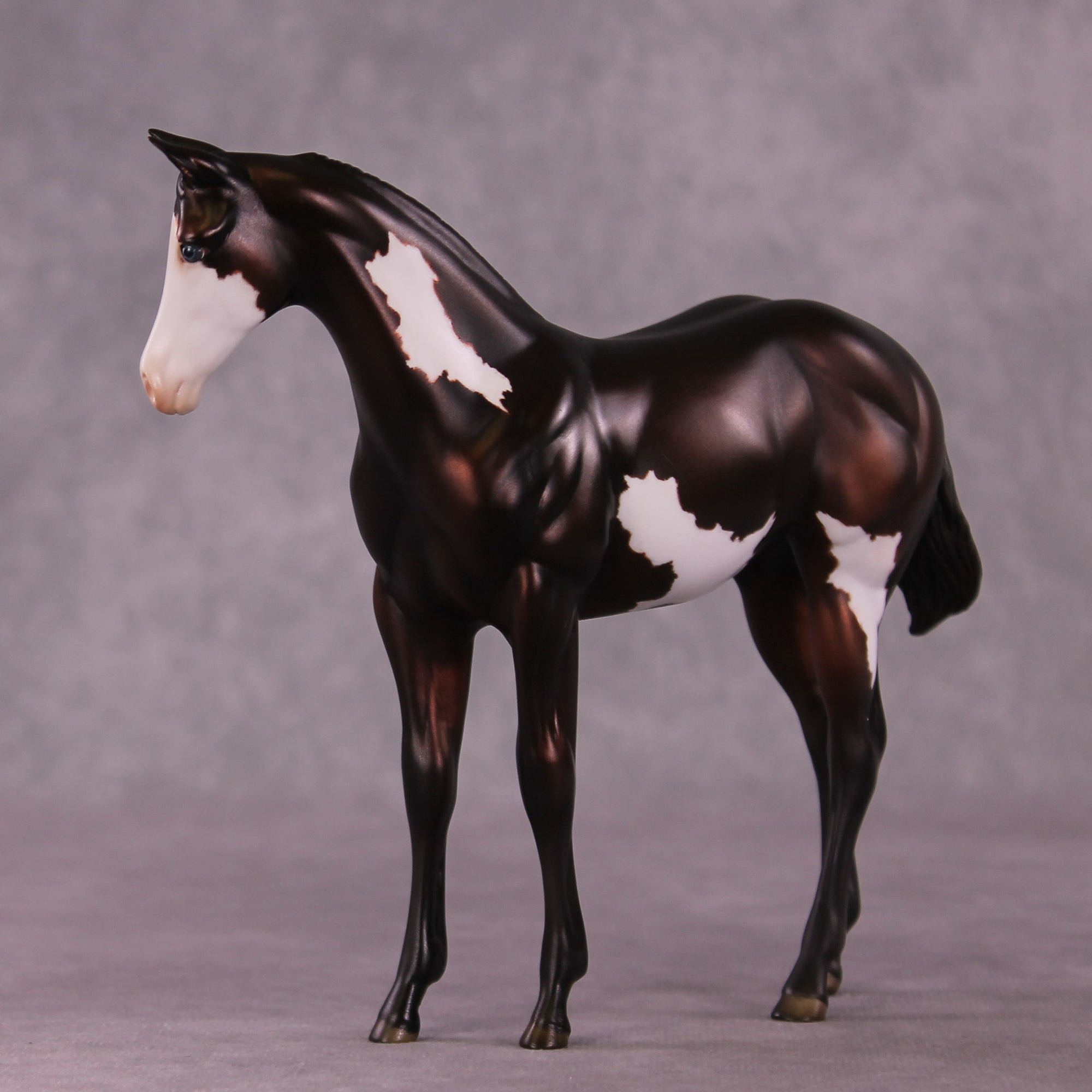 "Sedulous" OOAK Weanling by Julie Keim EQ25