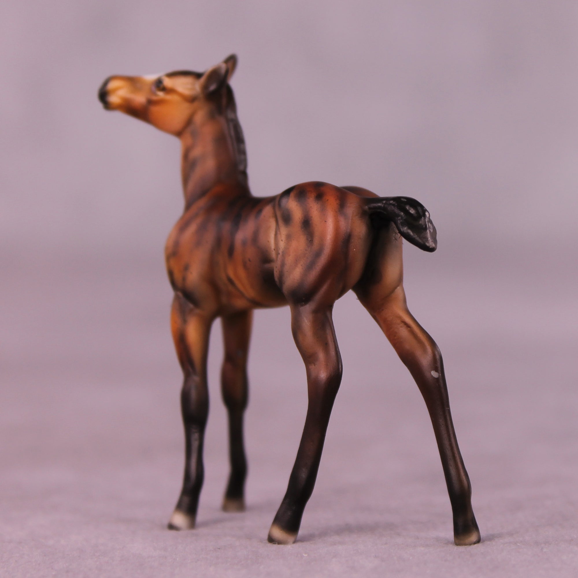 Peanut OOAK Foal Chip by Dawn Quick LHS25