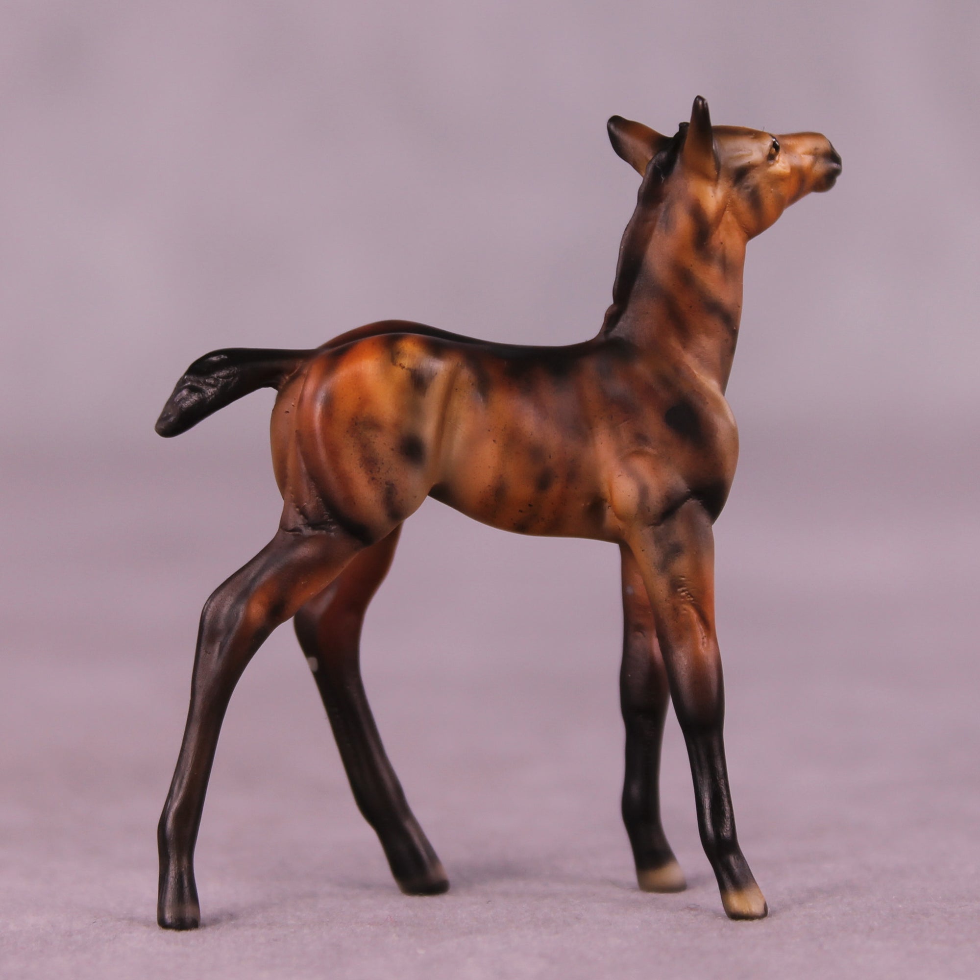 Peanut OOAK Foal Chip by Dawn Quick LHS25