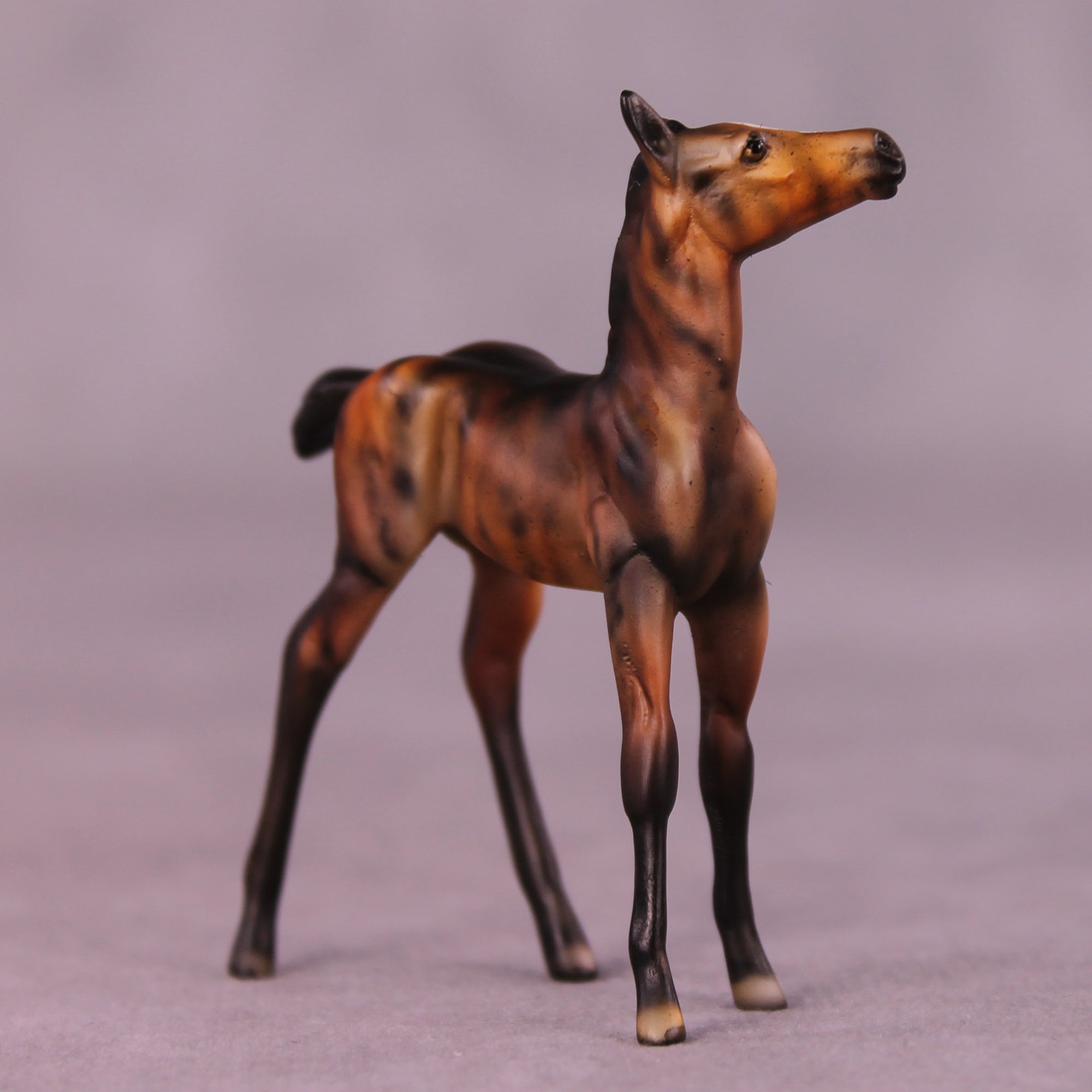 Peanut OOAK Foal Chip by Dawn Quick LHS25