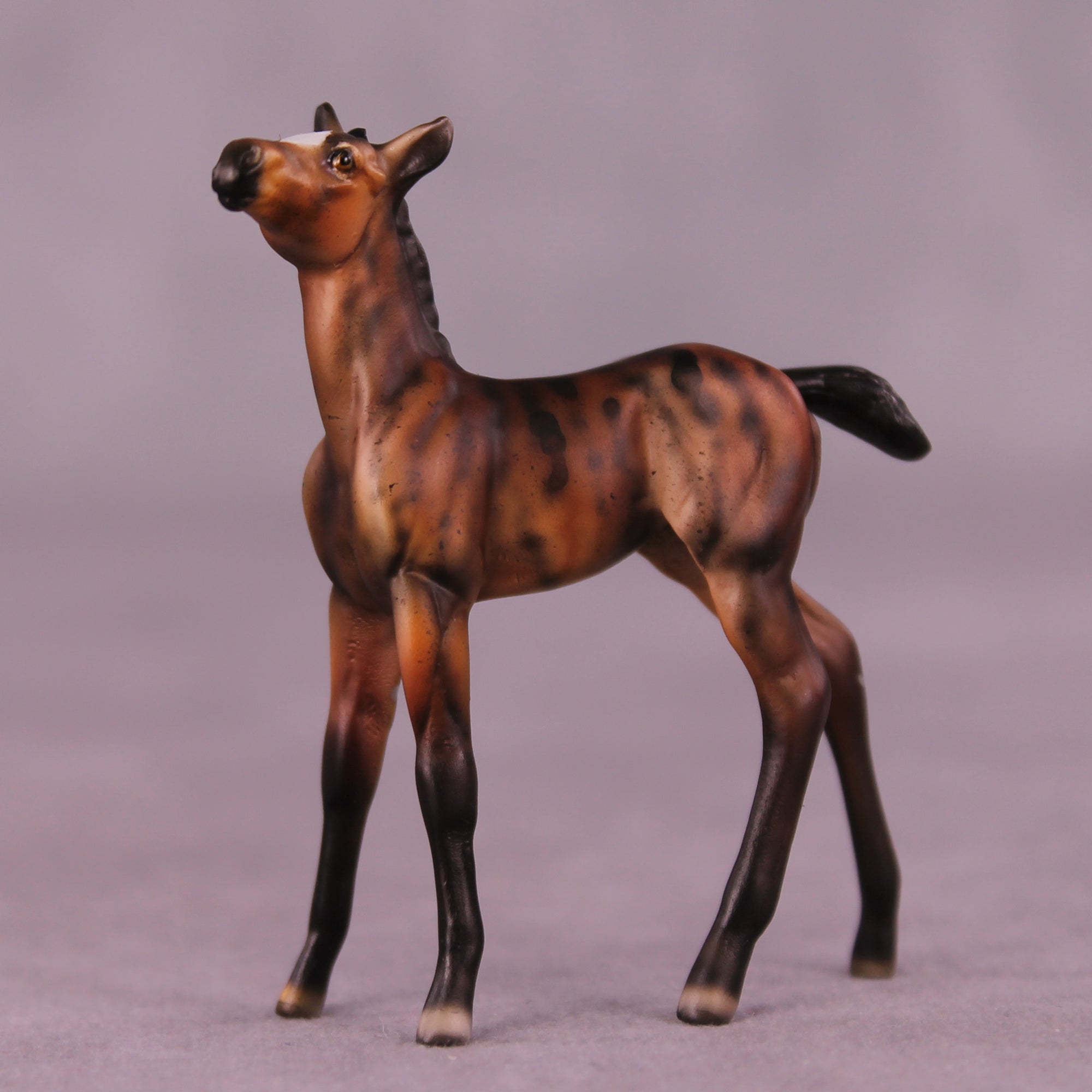 Peanut OOAK Foal Chip by Dawn Quick LHS25