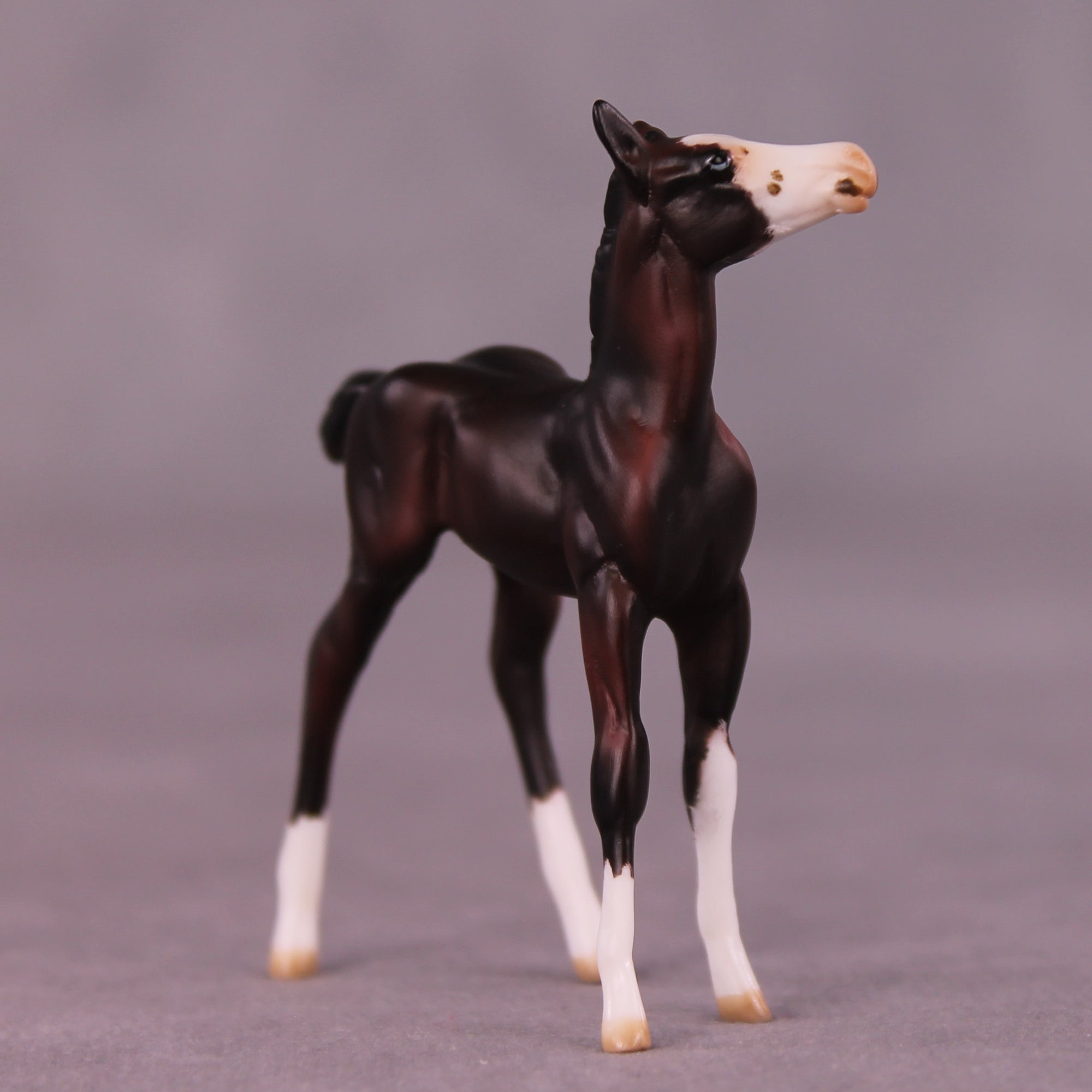 Fig OOAK Foal Chip by Julie Keim LHS25