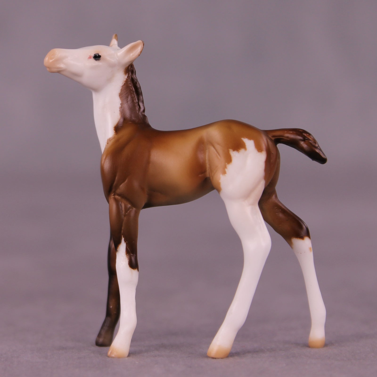 Kip OOAK Foal Chip by Julie Keim LHS25