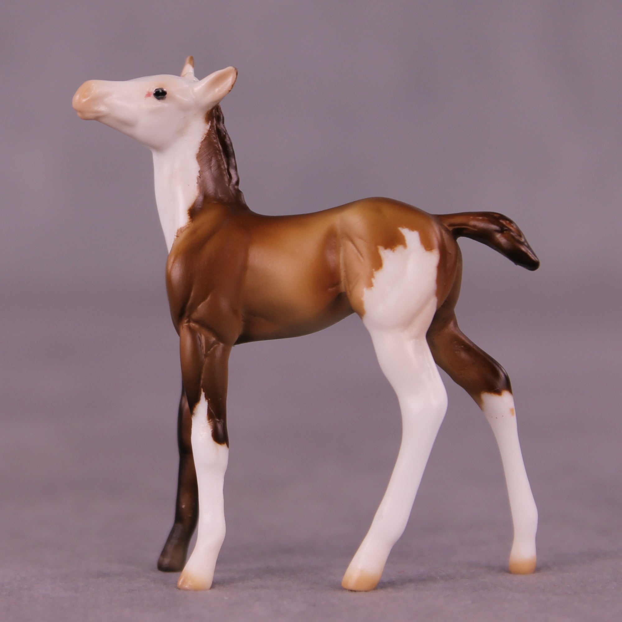 Kip OOAK Foal Chip by Julie Keim LHS25