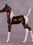 "Sparrow" OOAK Arab Foal by Julie Keim EQ25