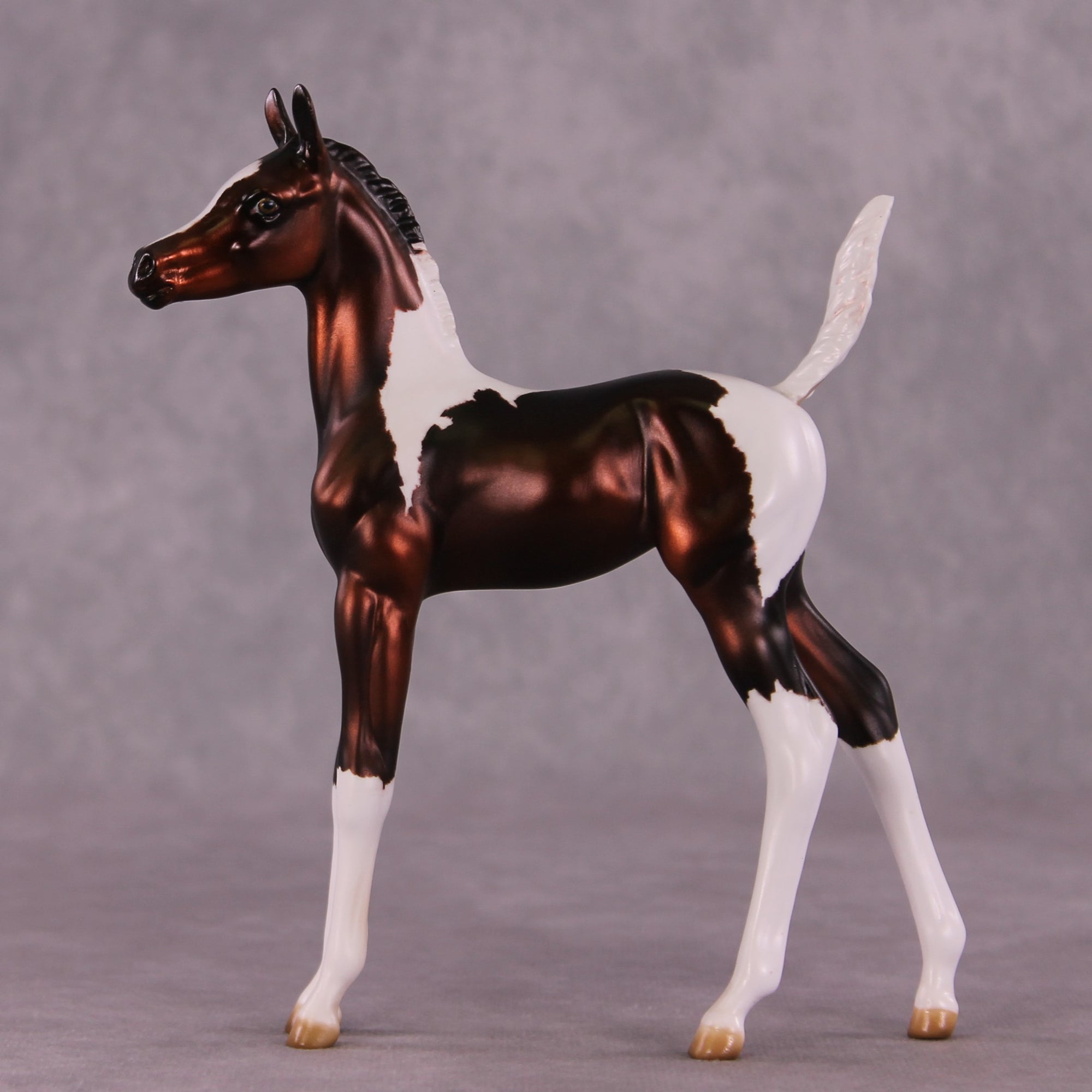 "Sparrow" OOAK Arab Foal by Julie Keim EQ25
