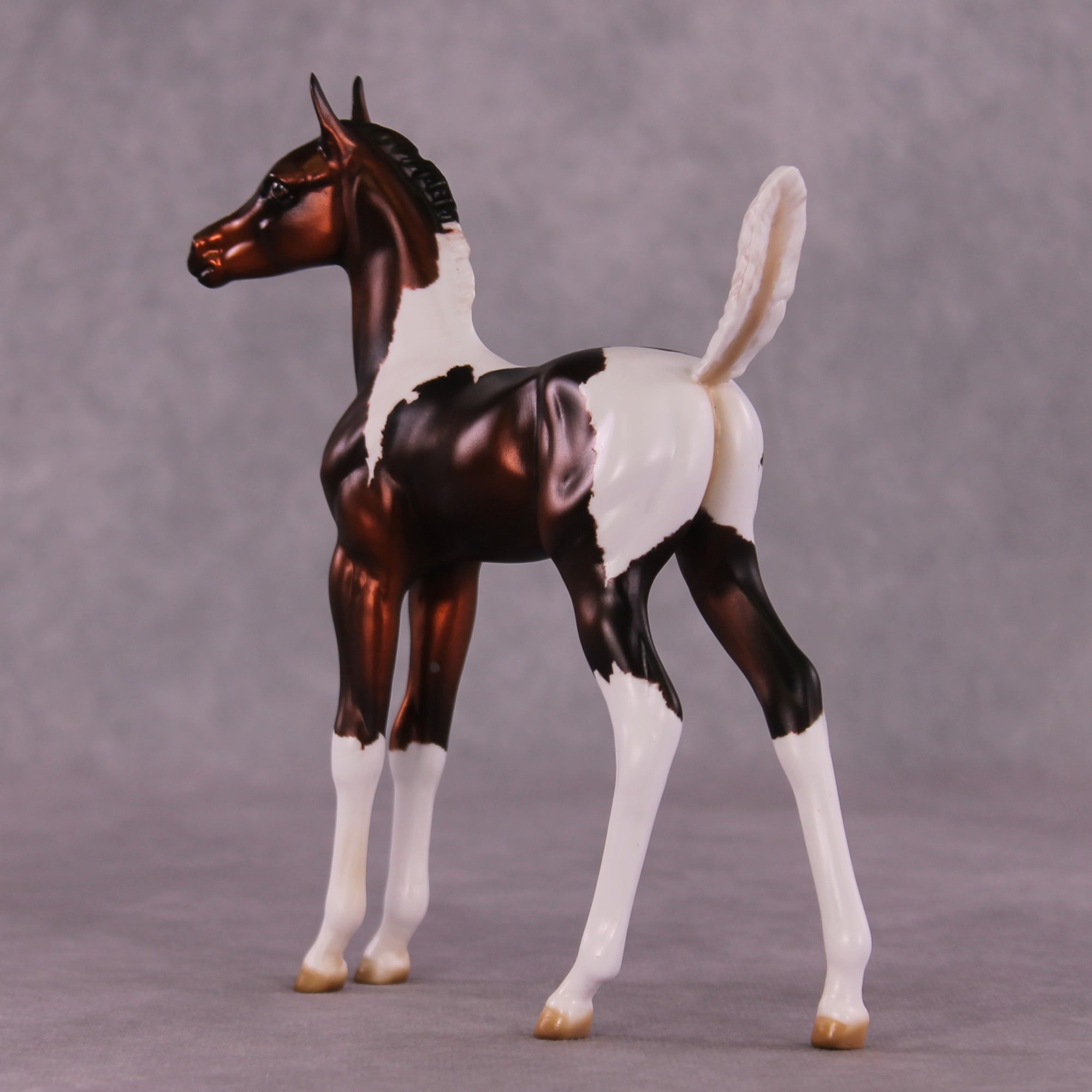 "Sparrow" OOAK Arab Foal by Julie Keim EQ25