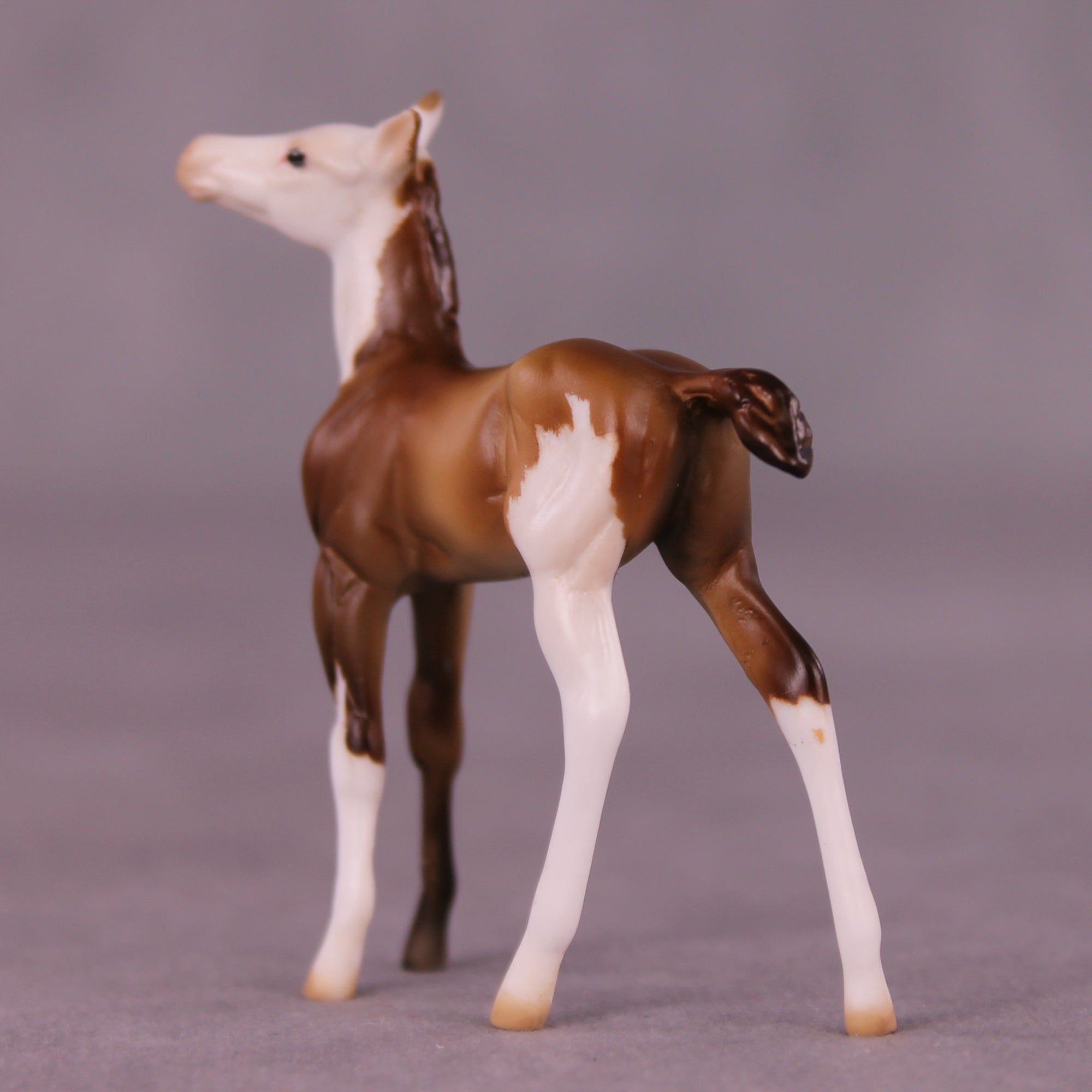 Kip OOAK Foal Chip by Julie Keim LHS25