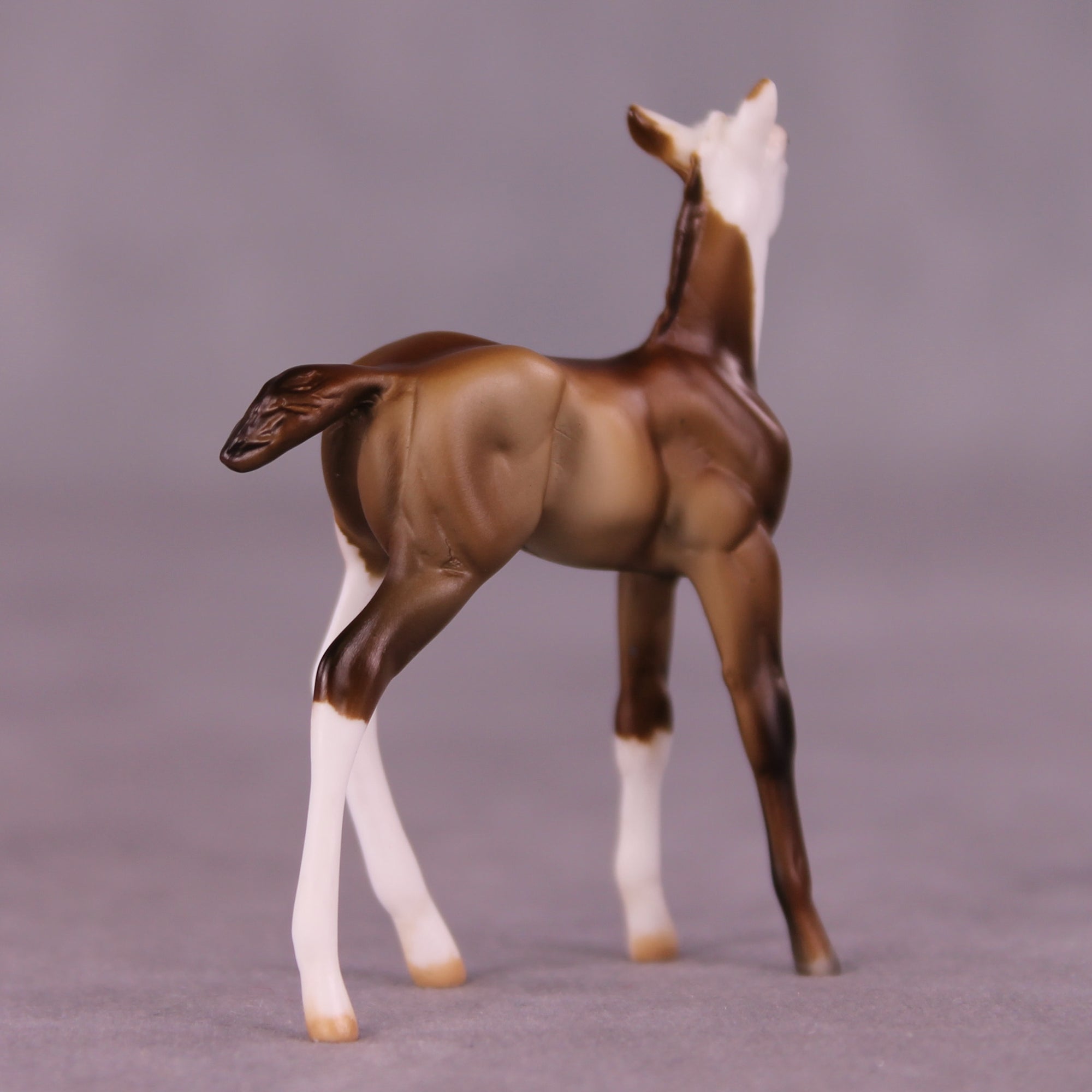 Kip OOAK Foal Chip by Julie Keim LHS25