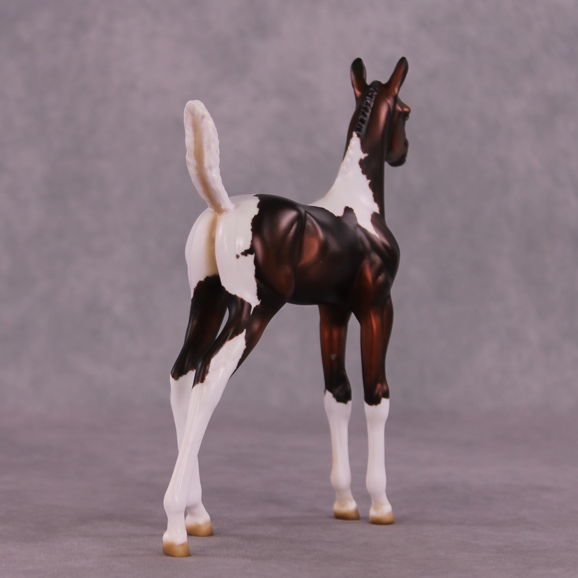 "Sparrow" OOAK Arab Foal by Julie Keim EQ25