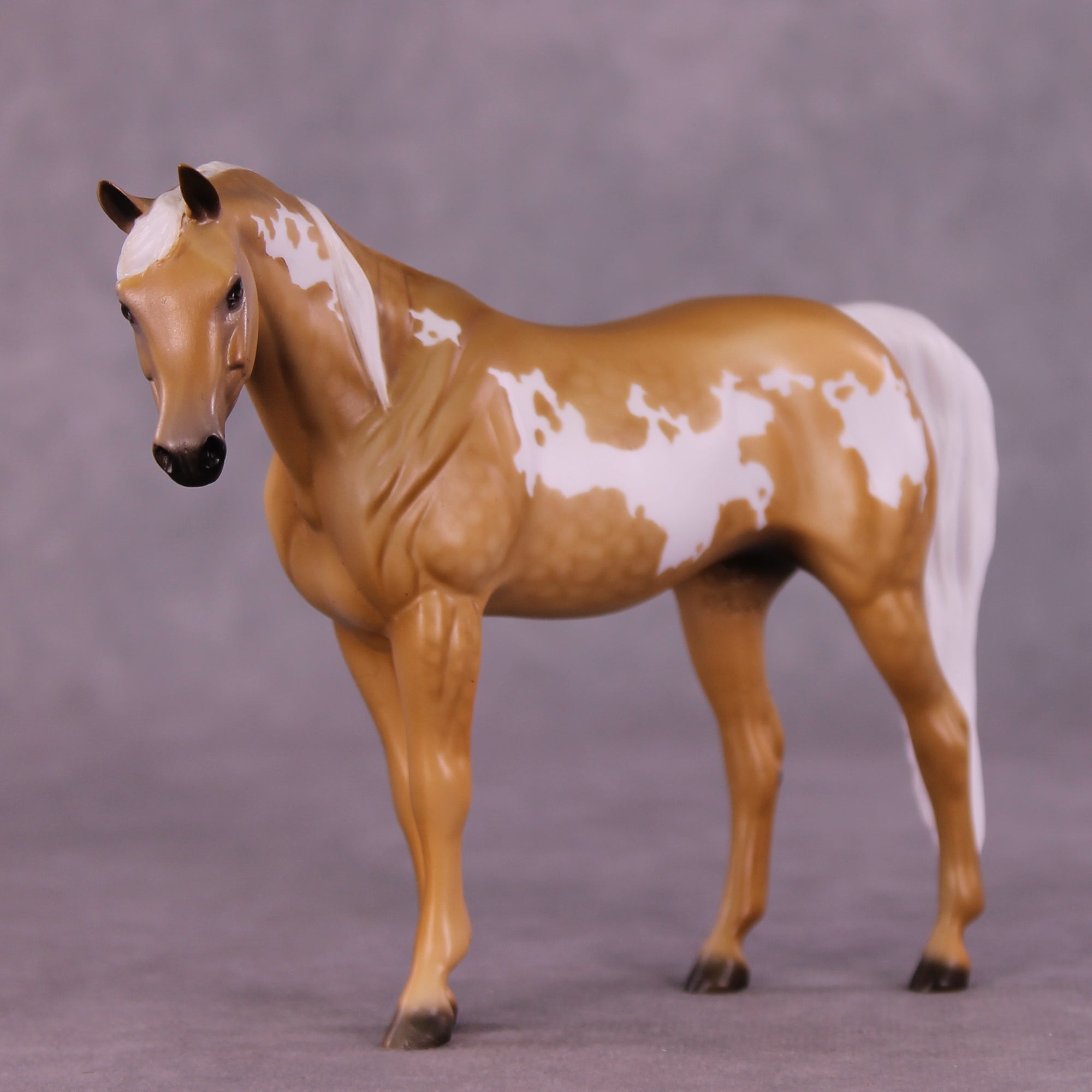 Cavendish OOAK Pebble Arabian by Dawn Quick LHS25