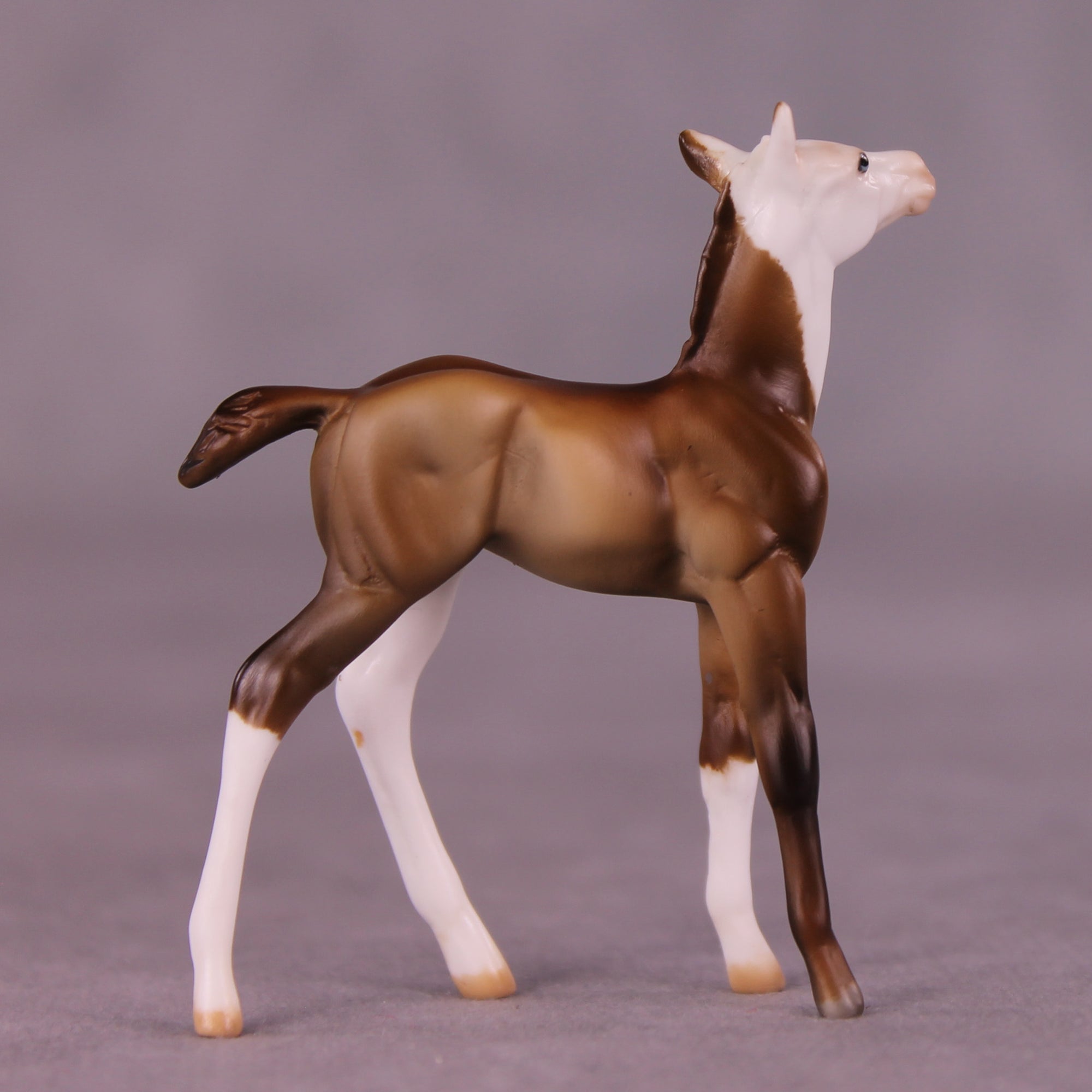 Kip OOAK Foal Chip by Julie Keim LHS25