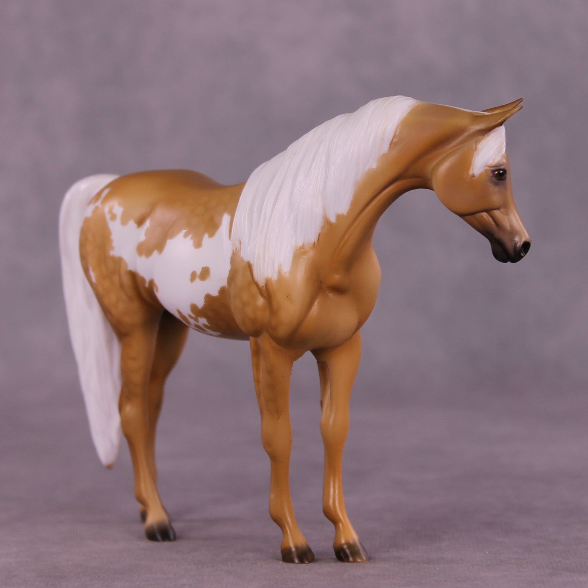 Cavendish OOAK Pebble Arabian by Dawn Quick LHS25