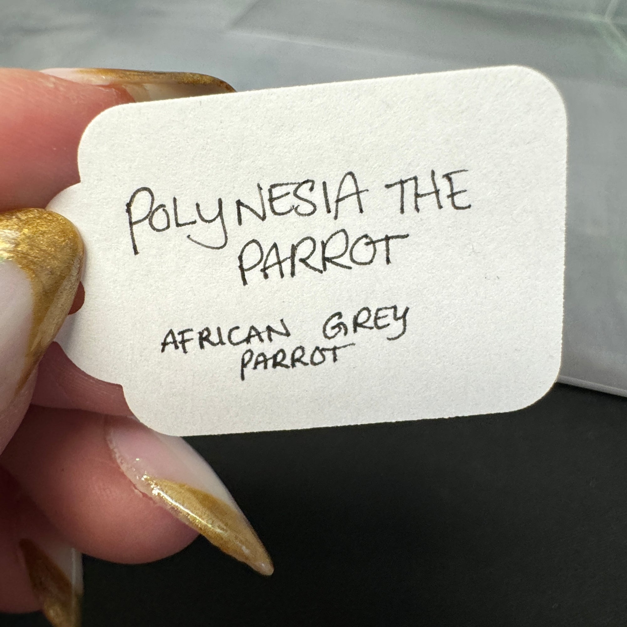 Polynesia the Parrot LE-3 Arabian Chip Dr. Doolittle Classic Lit Chip Runs By Jess Hamill Classic Literature Series 2024 CL24