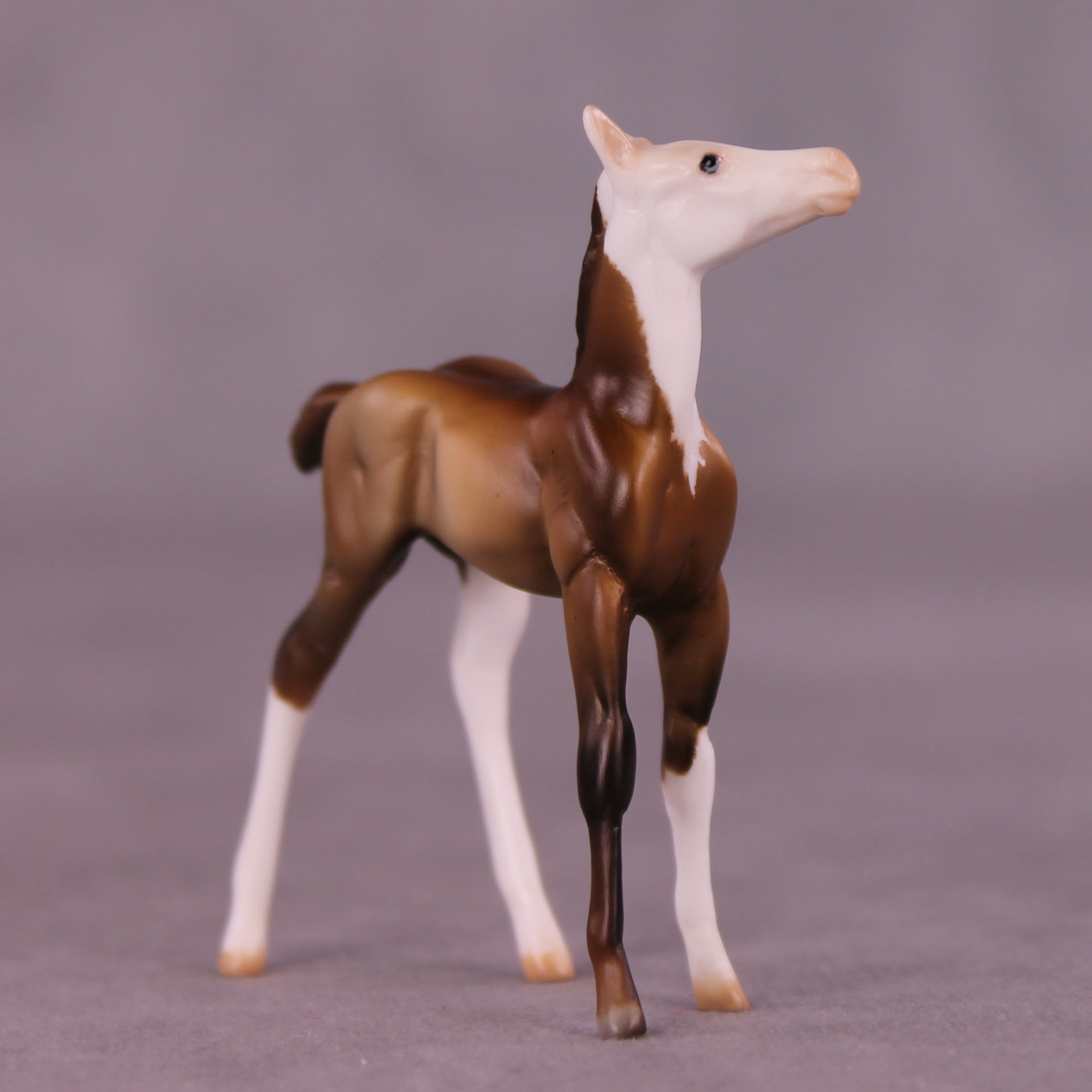 Kip OOAK Foal Chip by Julie Keim LHS25