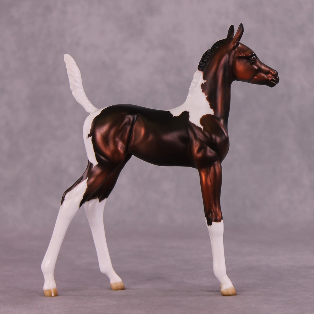 "Sparrow" OOAK Arab Foal by Julie Keim EQ25