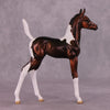&quot;Sparrow&quot; OOAK Arab Foal by Julie Keim EQ25