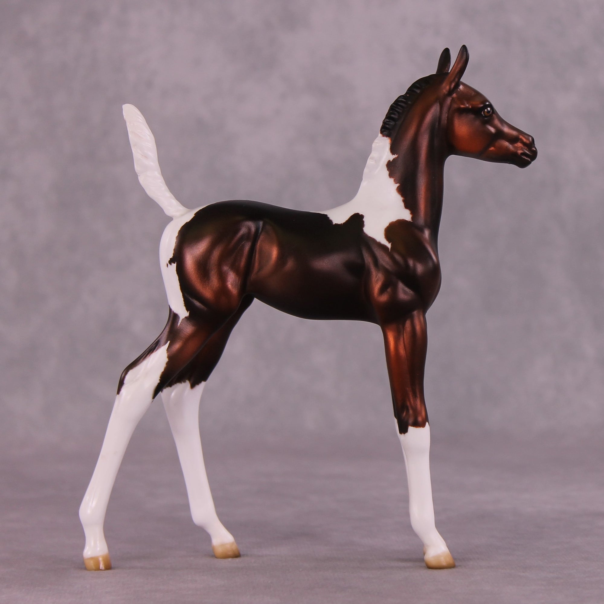 "Sparrow" OOAK Arab Foal by Julie Keim EQ25