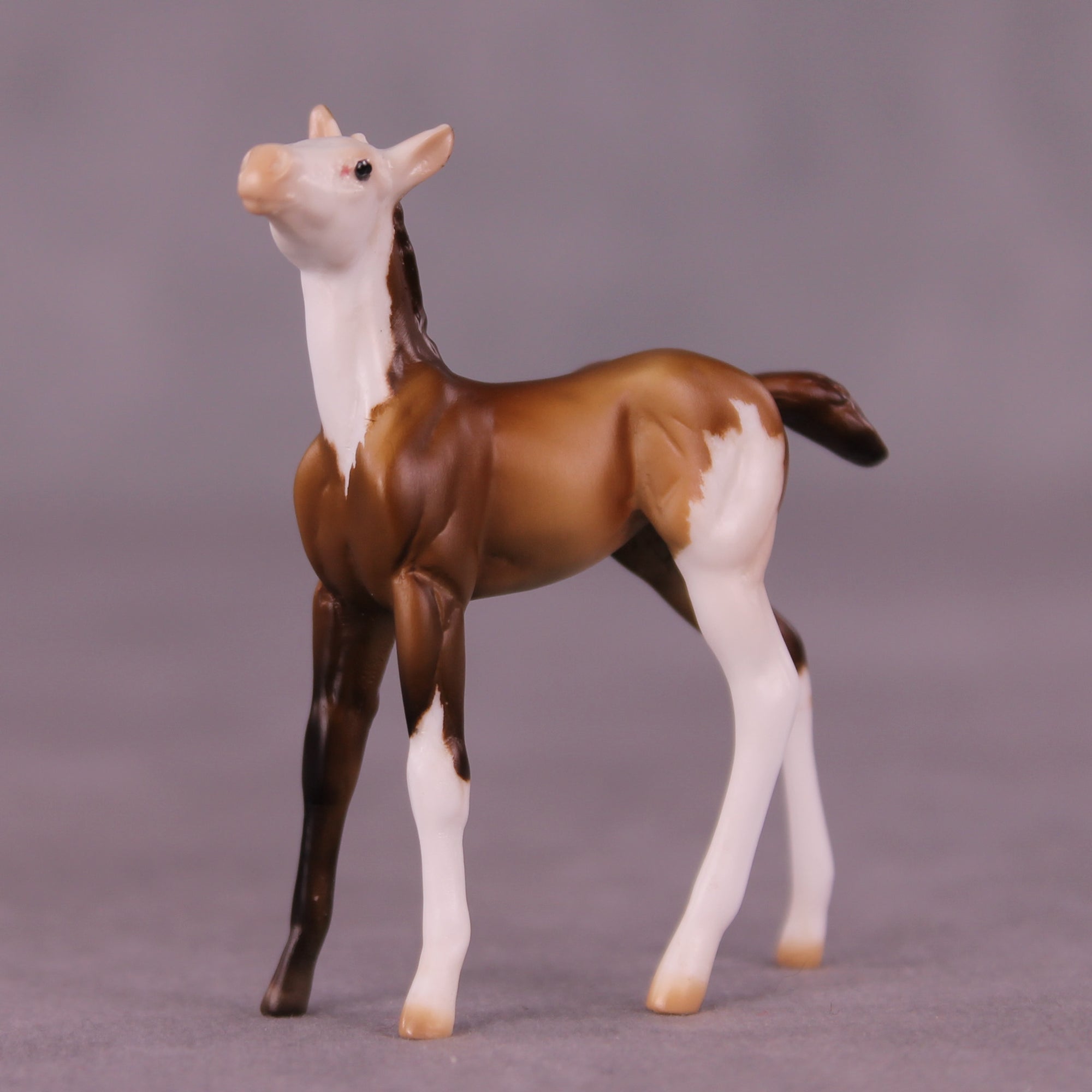 Kip OOAK Foal Chip by Julie Keim LHS25