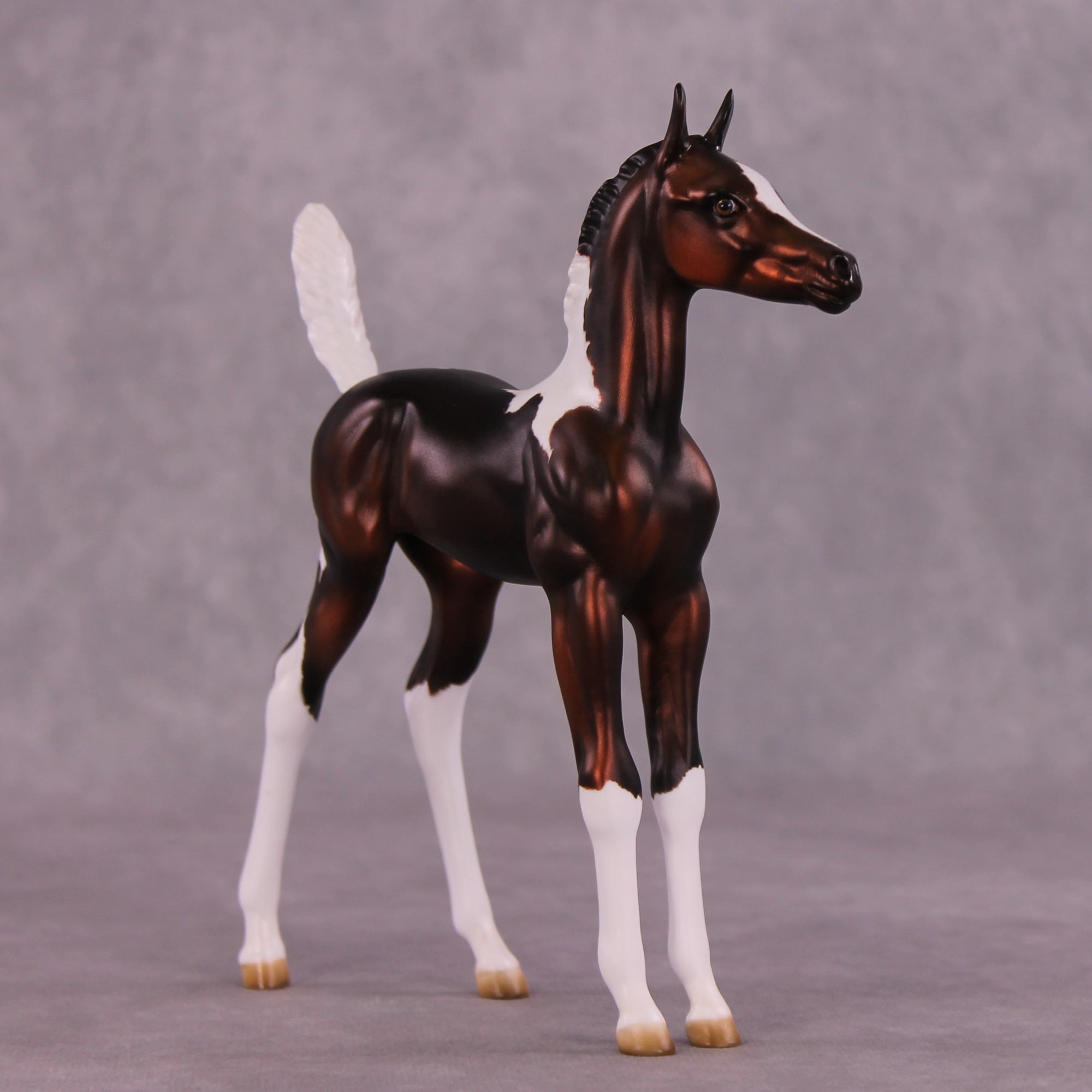 "Sparrow" OOAK Arab Foal by Julie Keim EQ25