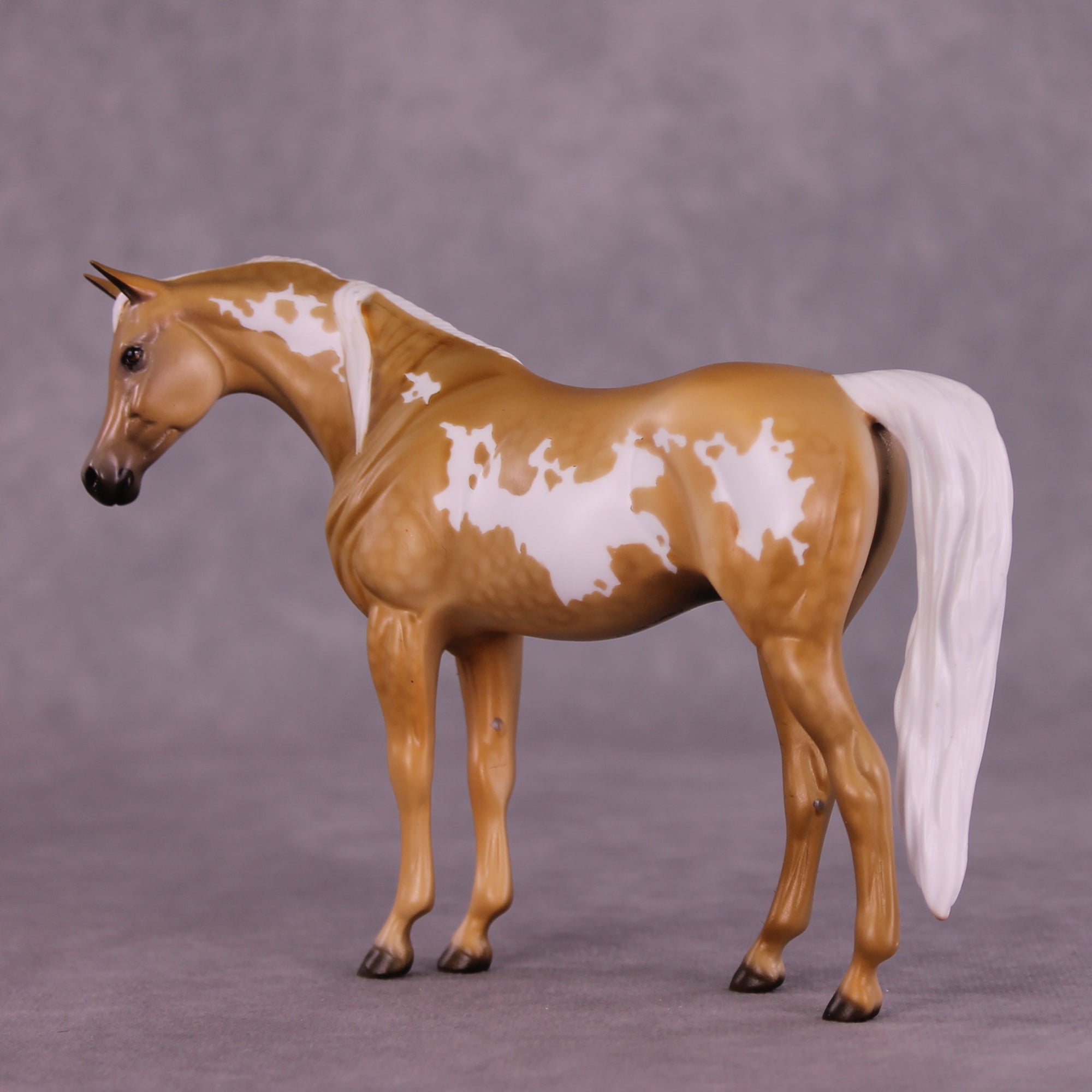 Cavendish OOAK Pebble Arabian by Dawn Quick LHS25