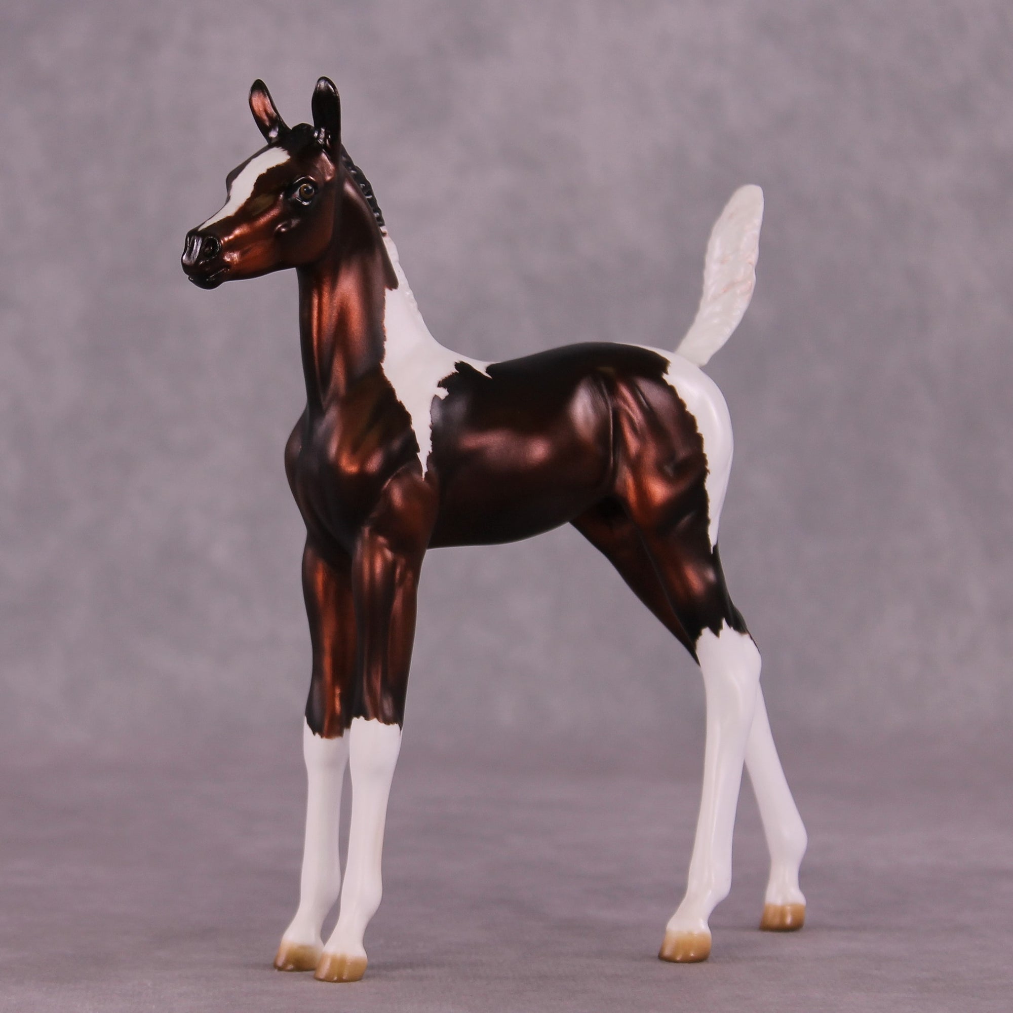"Sparrow" OOAK Arab Foal by Julie Keim EQ25