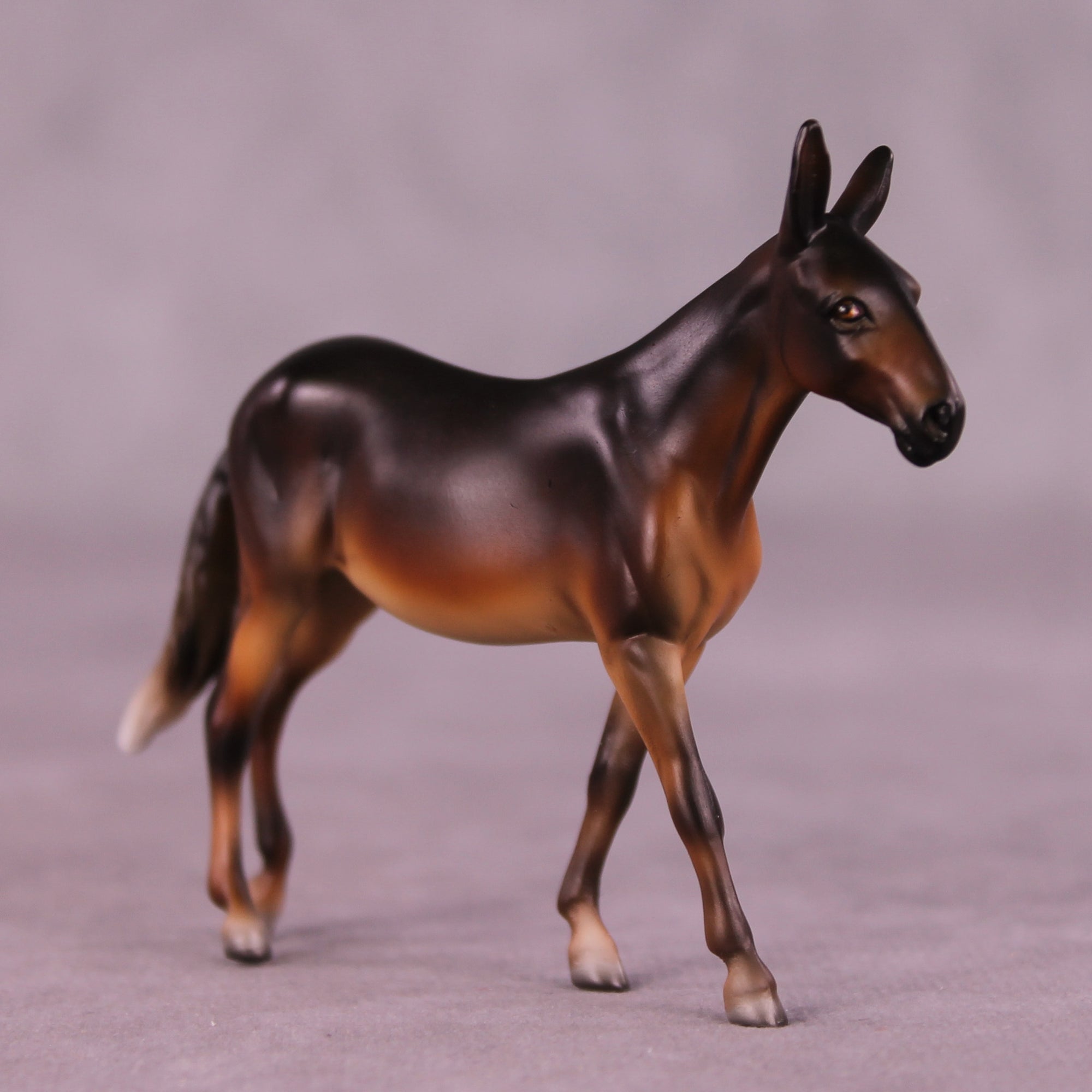 Dodge OOAK Mule Chip by Julie Keim LHS25