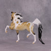 &quot;Khemtastically Purdy&quot; OOAK EFCM Saddlebred By Tiffany Purdy SHCF25 Best Offer 5/27/25