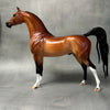 Very Demure OOAK Dappled Bay Custom Arabian By Ellen Robbins Best Offers 8/20/24