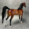 Very Demure OOAK Dappled Bay Custom Arabian By Ellen Robbins Best Offers 8/20/24