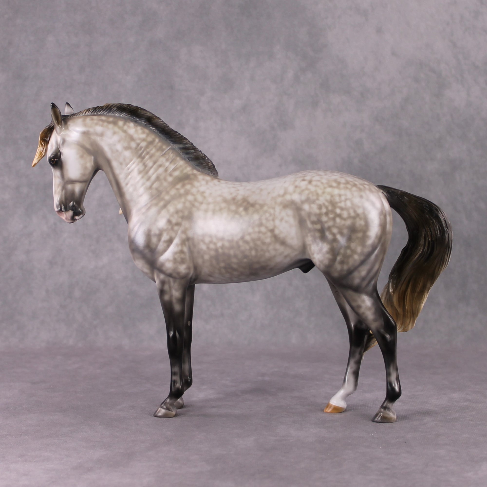 Stone Horses OOAK "Shambala" - Rose Grey Andalusian by Mindy Berg 02/11/2025