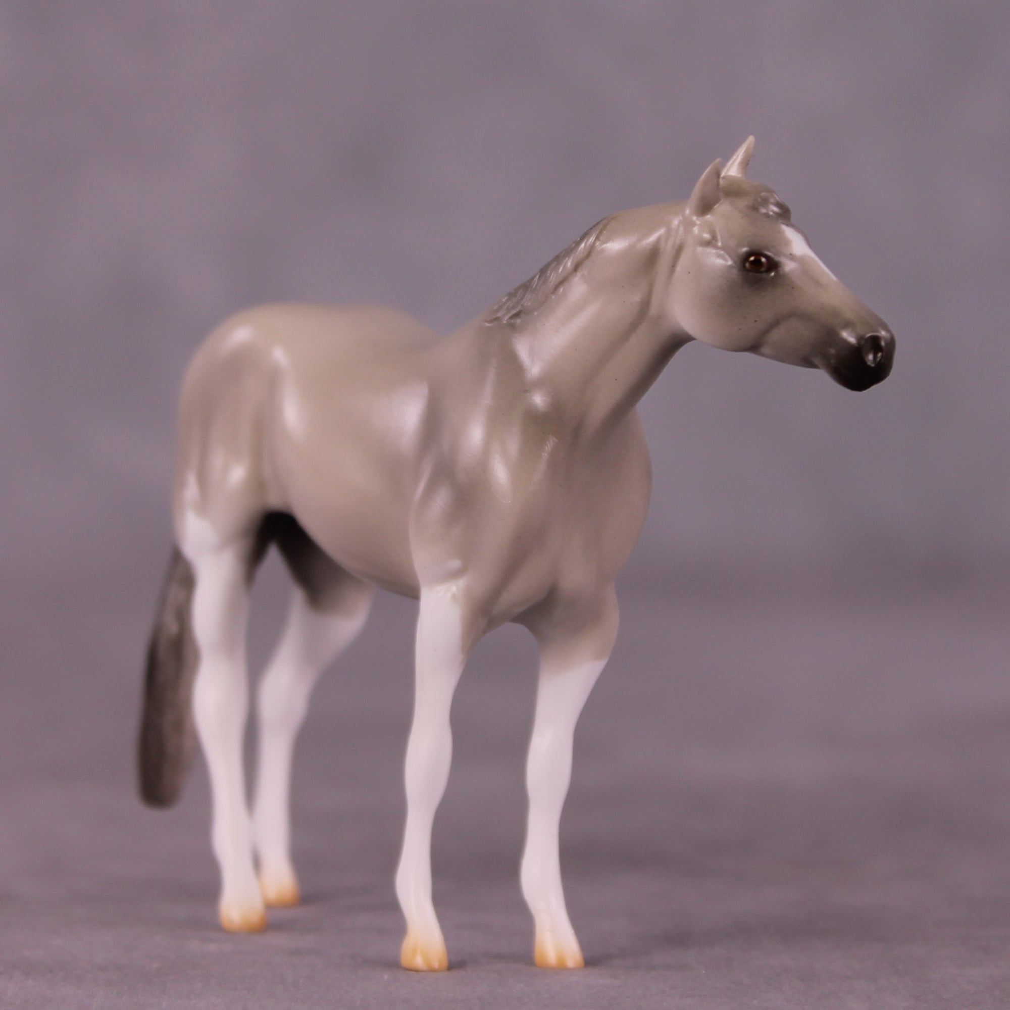 Vassy OOAK Stock Chip by Erin Corbett EQ25