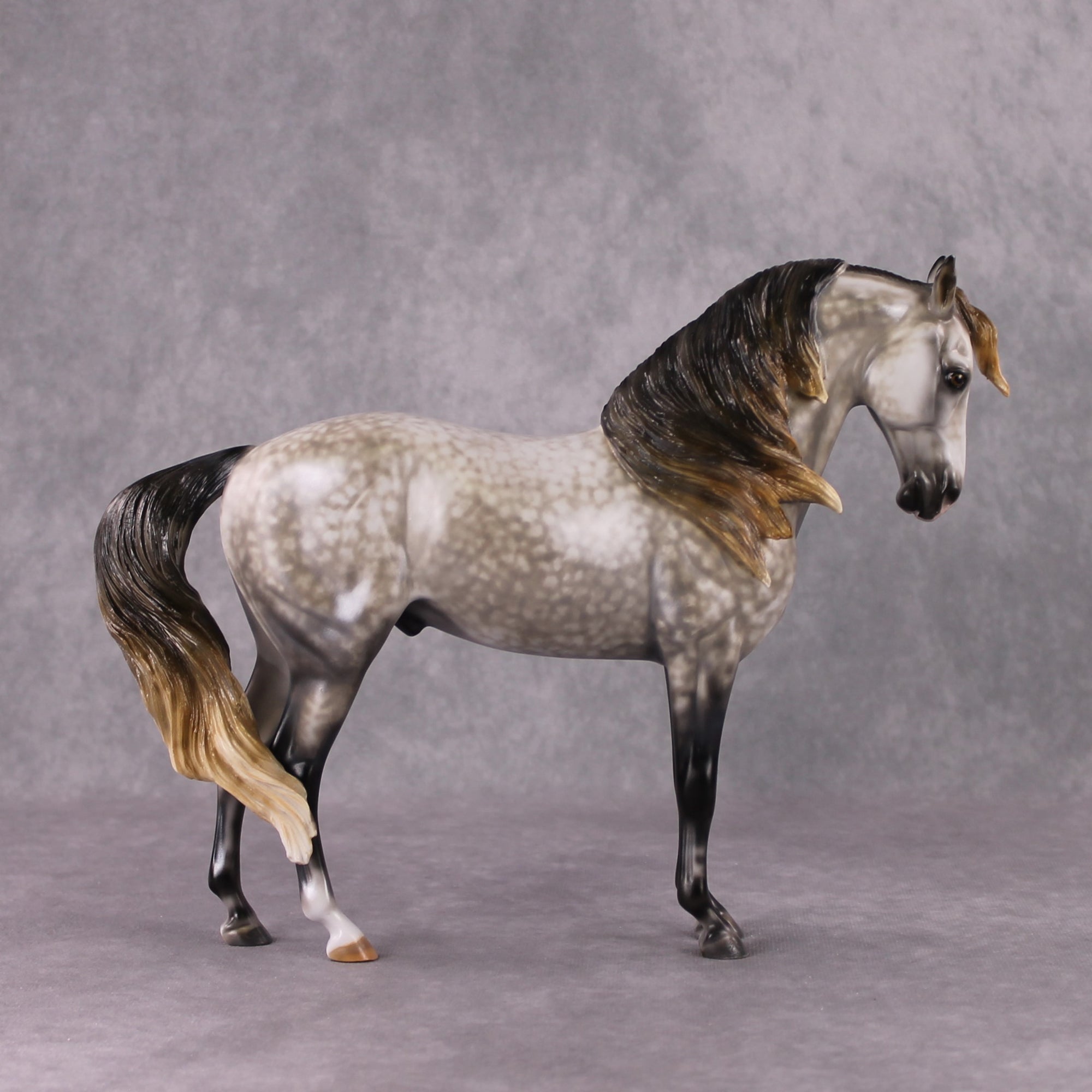 Stone Horses OOAK "Shambala" - Rose Grey Andalusian by Mindy Berg 02/11/2025