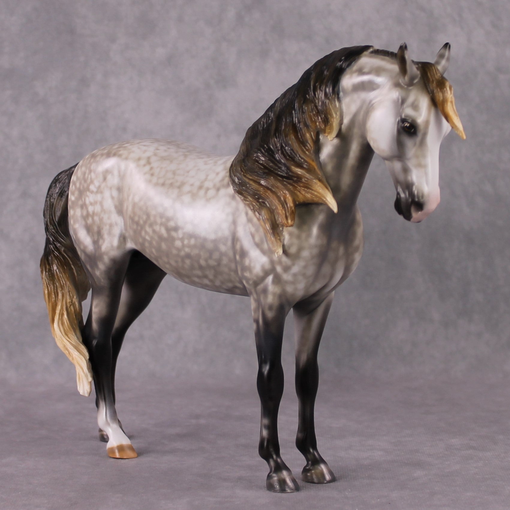 Stone Horses OOAK "Shambala" - Rose Grey Andalusian by Mindy Berg 02/11/2025