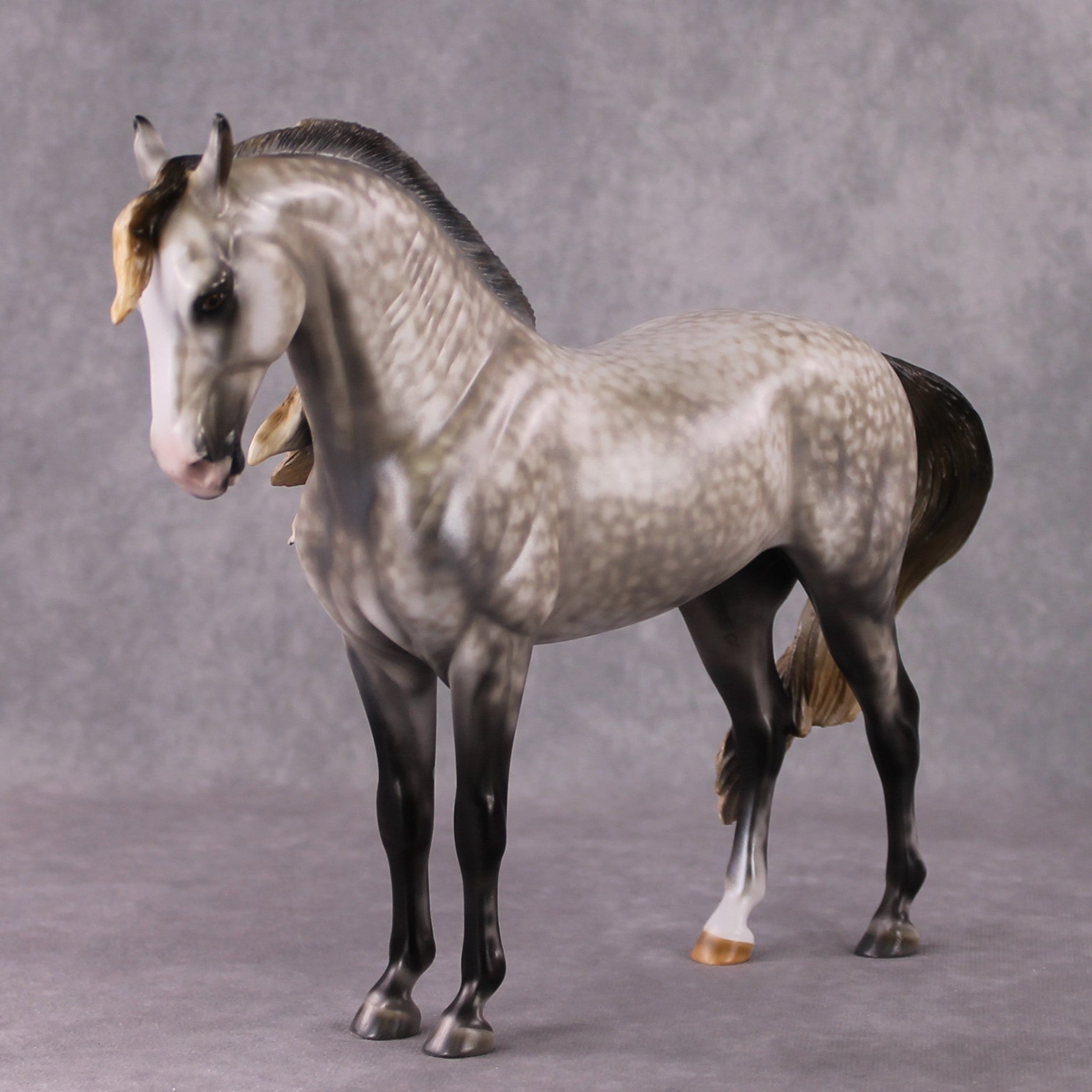 Stone Horses OOAK "Shambala" - Rose Grey Andalusian by Mindy Berg 02/11/2025