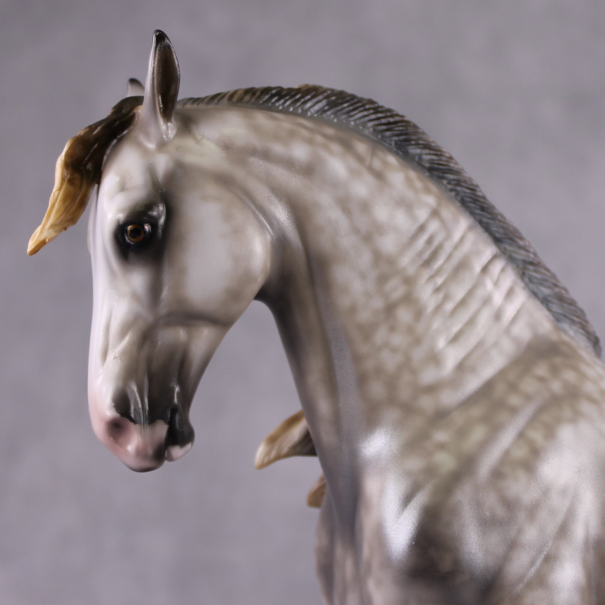 Stone Horses OOAK "Shambala" - Rose Grey Andalusian by Mindy Berg 02/11/2025