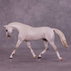 Pale Elegance OOAK EFCM Pebble Warmblood by Ashley Palmer Best Offers LHS25 09/09/2025