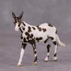 PREVIEW LISTING ONLY Maraca OOAK Custom Appy Mule Chip By Andrea Thomason MM24 MHP Auction