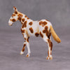 PREVIEW LISTING ONLY Prudence OOAK Custom Appy Mule Chip By Andrea Thomason MM24 MHP Auction