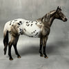 Wahsatch OOAK Black Appaloosa ISH By Sheryl Leisure Best Offers 8/20/24