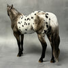 Wahsatch OOAK Black Appaloosa ISH By Sheryl Leisure Best Offers 8/20/24