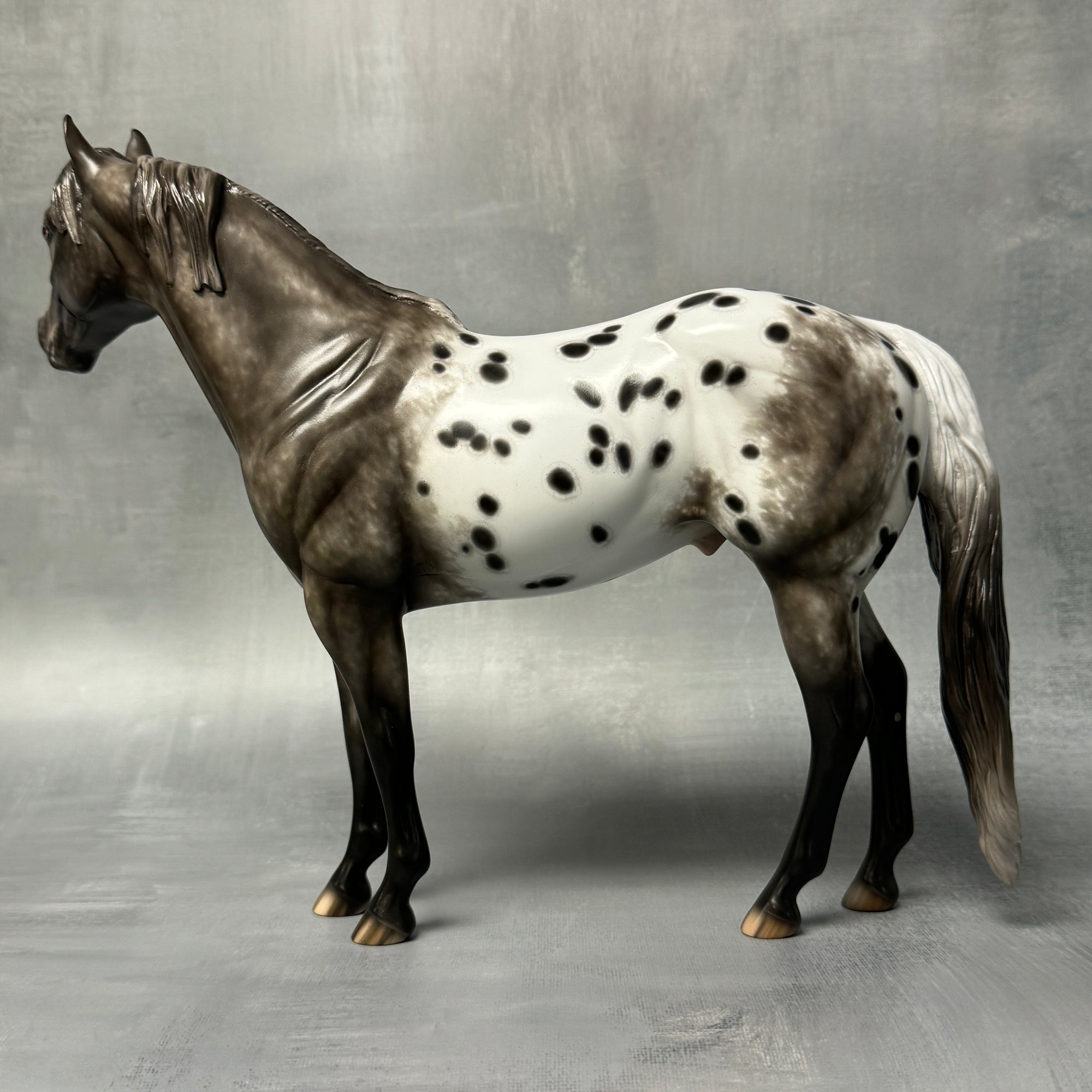 Wahsatch OOAK Black Appaloosa ISH By Sheryl Leisure Best Offers 8/20/24