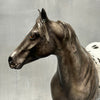 Wahsatch OOAK Black Appaloosa ISH By Sheryl Leisure Best Offers 8/20/24