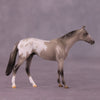 Ummet OOAK Thoroughbred Chip by Erin Corbett EQ25