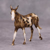 PREVIEW LISTING ONLY Sorghum OOAK Custom Appy Mule Chip By Andrea Thomason MM24 MHP Auction