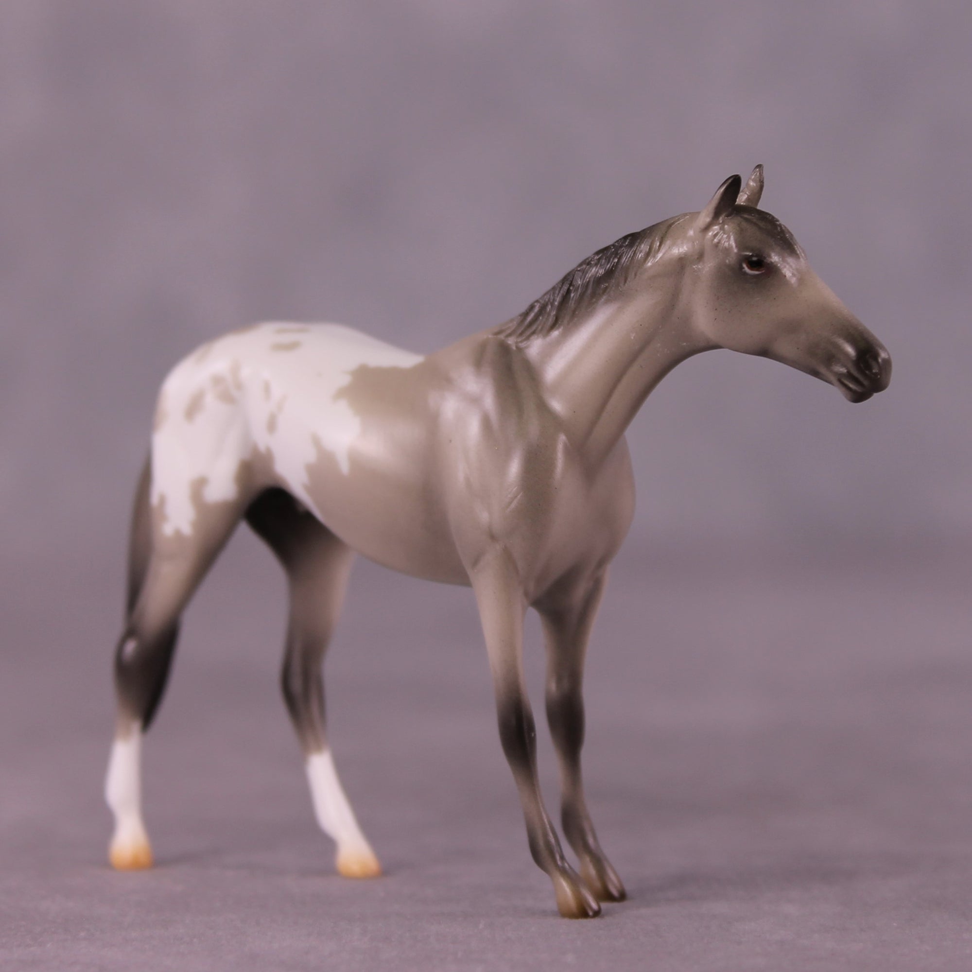 Ummet OOAK Thoroughbred Chip by Erin Corbett EQ25